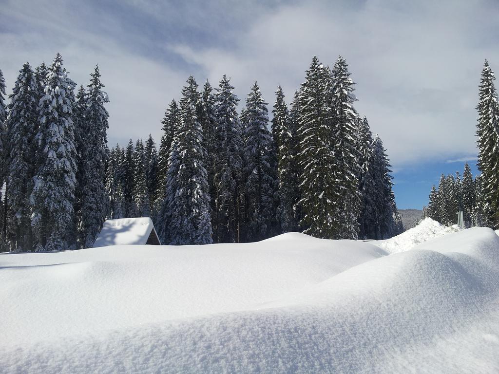 Hotel Jelka Pokljuka Goreljek Bagian luar foto