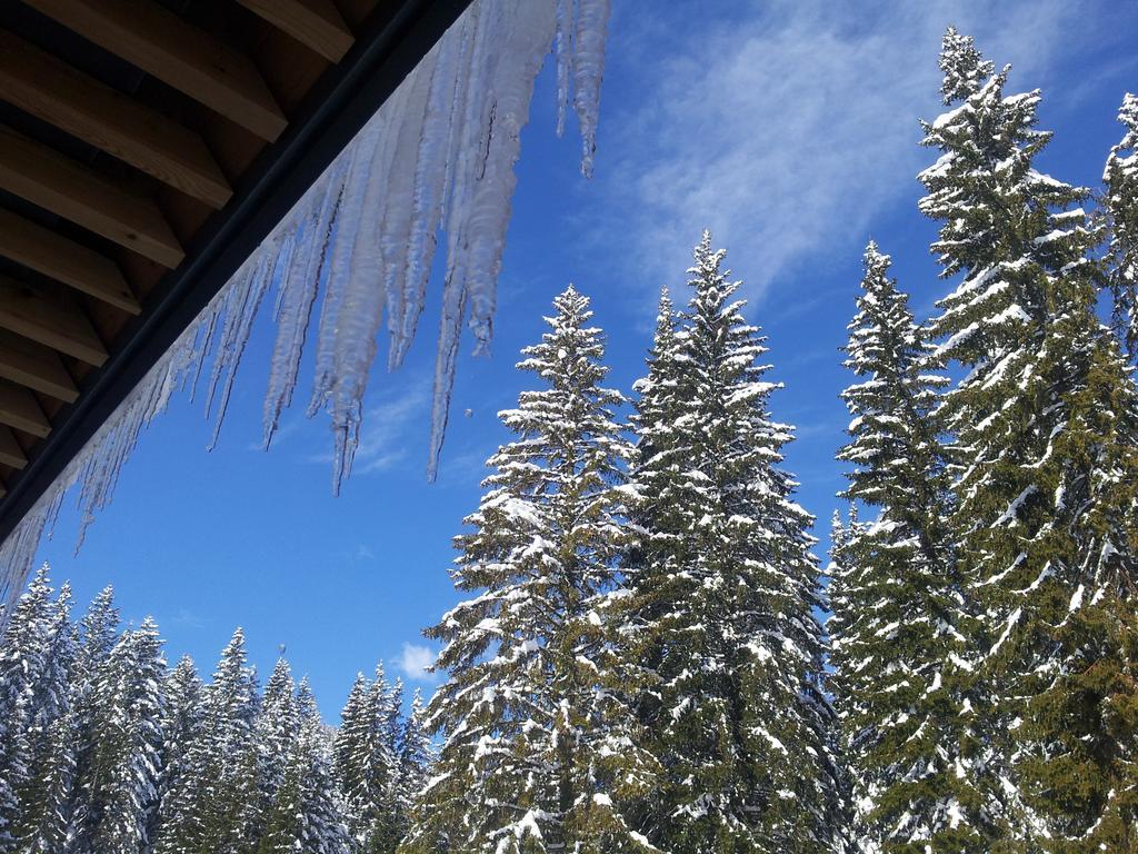 Hotel Jelka Pokljuka Goreljek Bagian luar foto