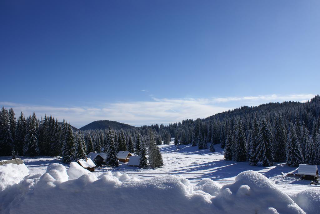Hotel Jelka Pokljuka Goreljek Bagian luar foto